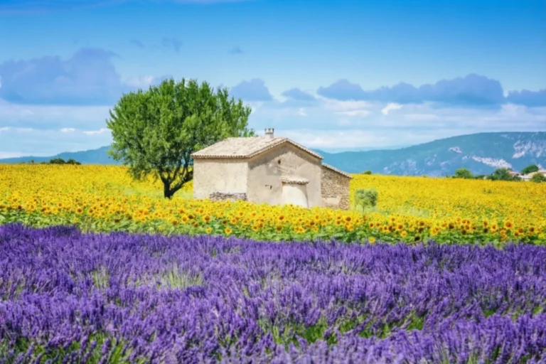 Hidden villages in Provence