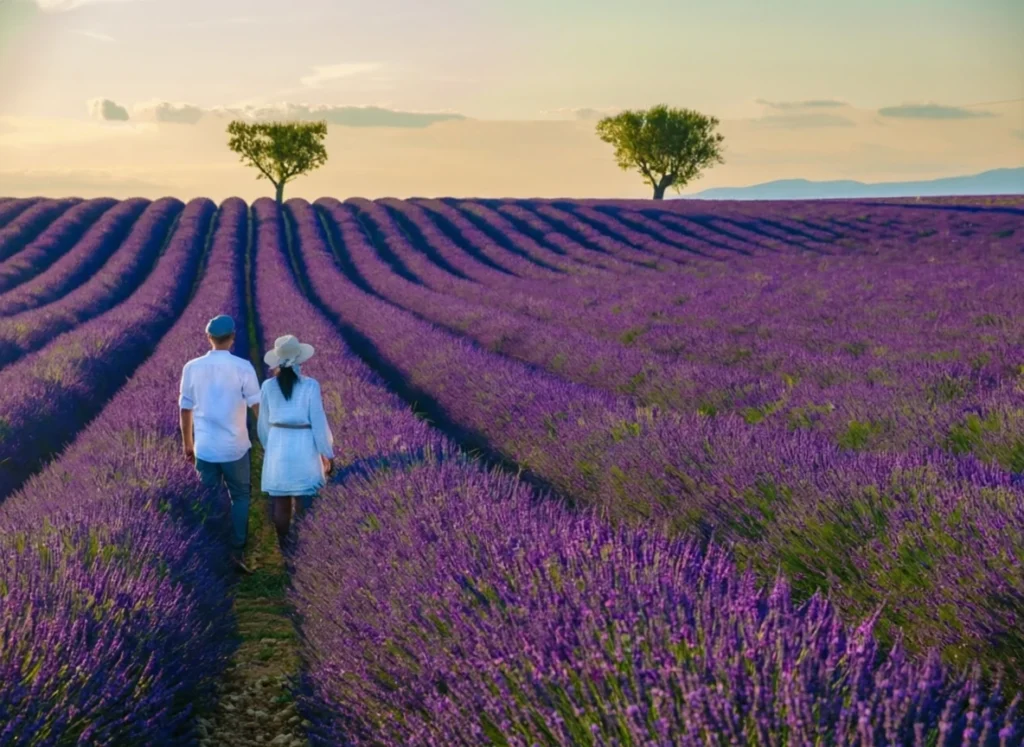 Hidden villages in Provence