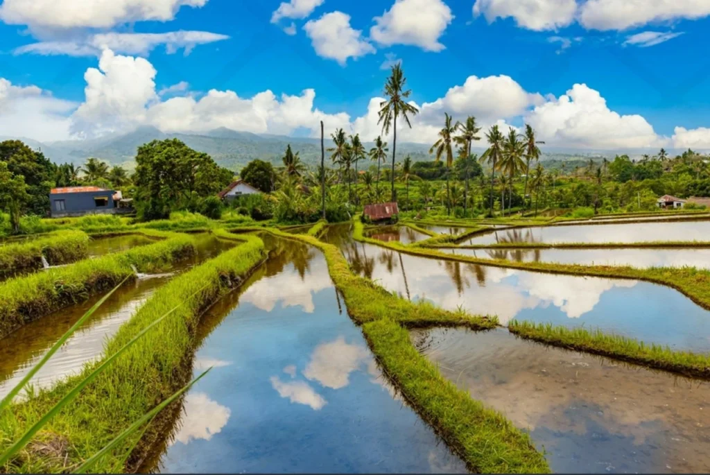 The Tranquil Valleys of Bali