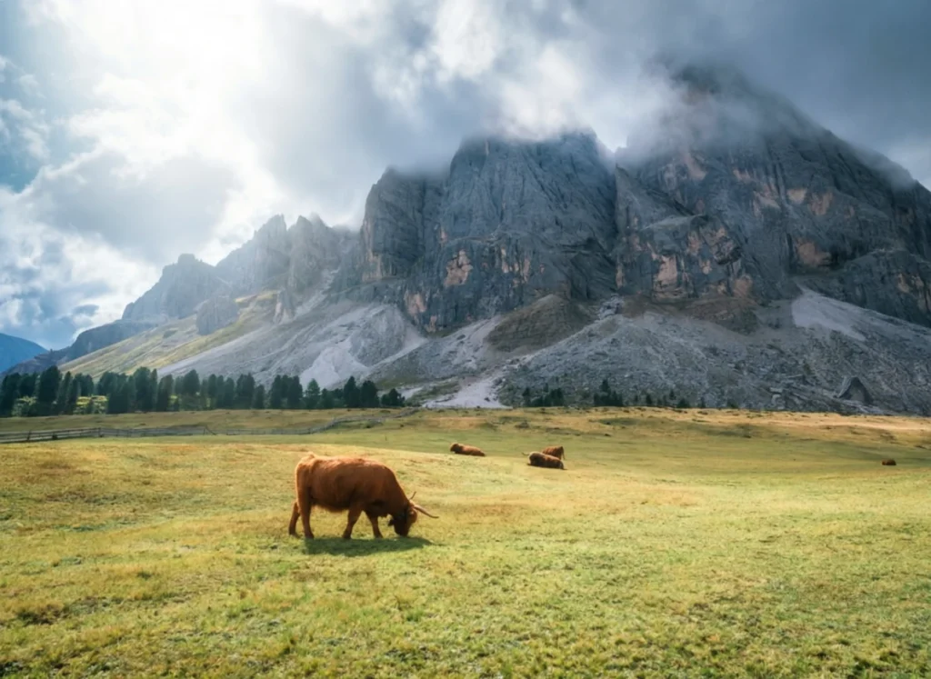 Traveling in the Scottish Highlands