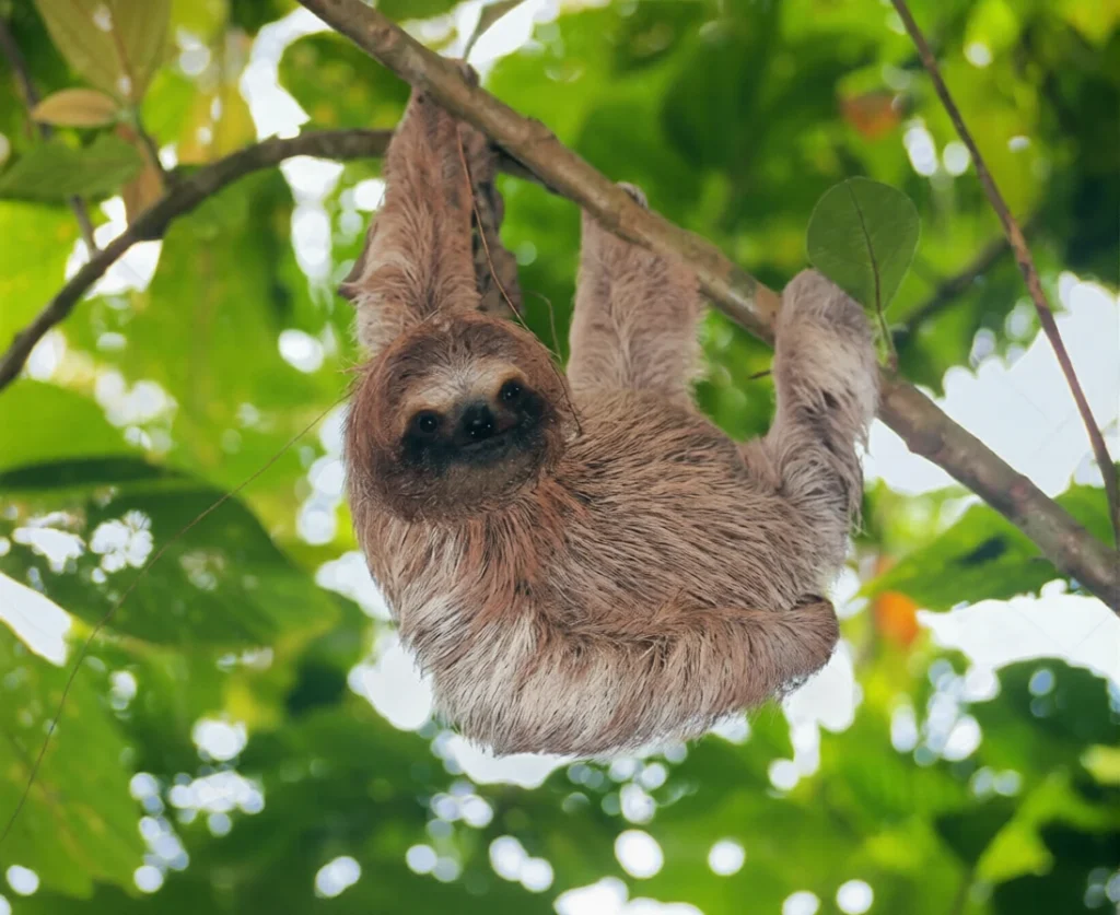 traveling Costa Rica