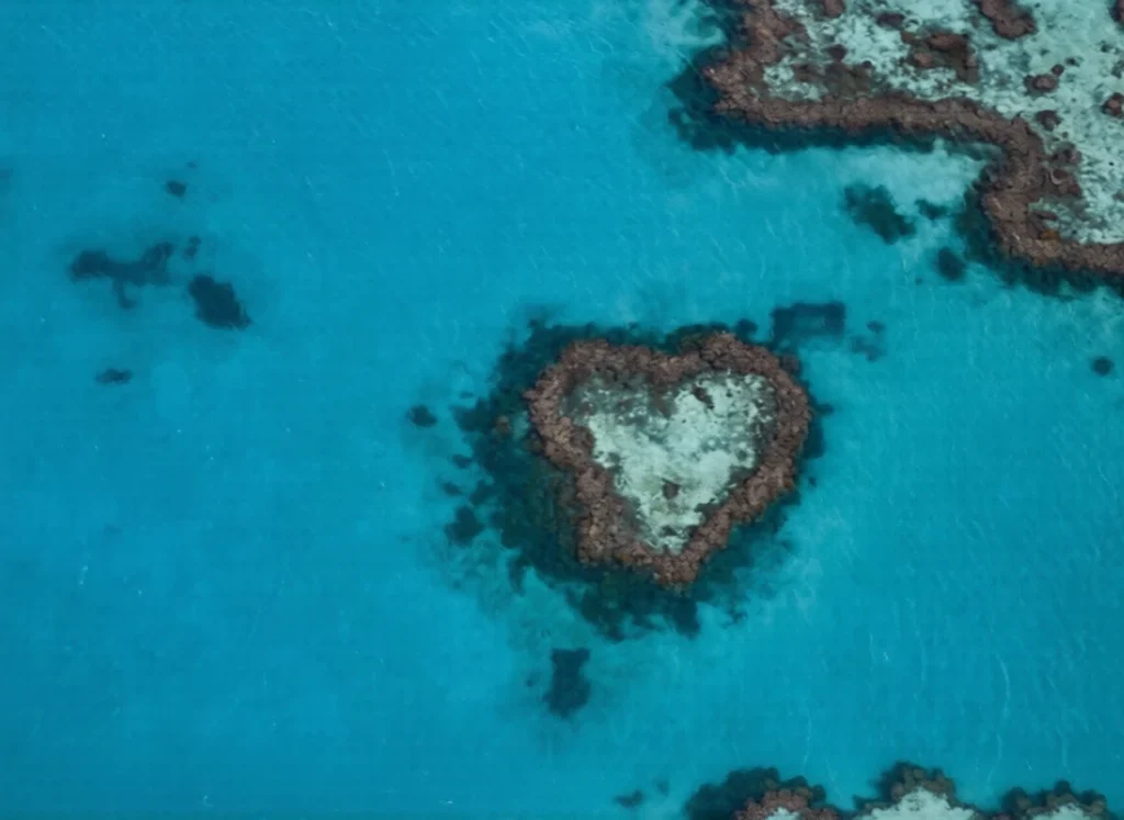 the great barrier reef